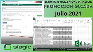 Videoconferencia Registro de notas en el SIAGIE julio 2021 de Promoción guiada 2020 [upl. by Eirameinna]