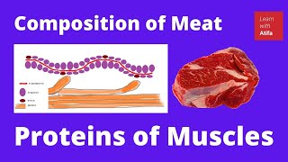 Meat composition 44 Mandal PK [upl. by Eleahcim165]