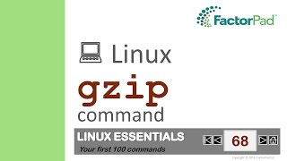 Linux gzip command summary with examples [upl. by Gustafsson]