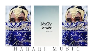 Nawala  Halo Halo│Ethiopian Harari Music Audio [upl. by Atilrac]