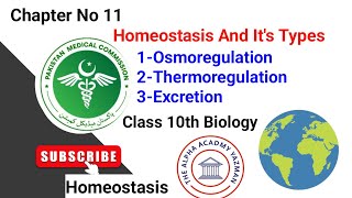 Homeostasis Class 10 Biology In Urdu Hindi  Types Of Homeostasis  Chapter No 10 Lecture No 01 [upl. by Greenebaum]