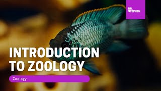 Zoology 🦚 I Introduction to Zoology [upl. by Yanej985]