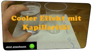 Der Kapillar Effekt  ExperimentTutorial [upl. by Newcomb]