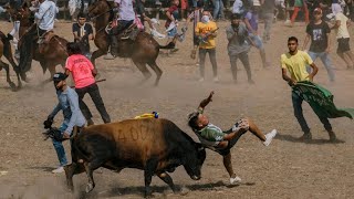 Colombias Most Dangerous Tradition Bull Running Gringo En La Corraleja de Since [upl. by Greenland]