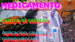 Cómo curar el catarro con medicamento efectivo para aves [upl. by Neelav]