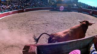 HERMOSAS SALIDAS DE TOROS BRAVOS AL RUEDO  2024 [upl. by Polik]