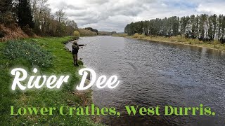 Fly Fishing for Salmon on the River Dee [upl. by Woermer860]