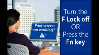 Print Screen Not Working Troubleshooting Tips [upl. by Onyx809]