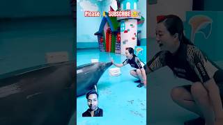 915 Dolphins Lovers😍🥰dolphinlove swimming entertainment duetvideos shortsvideo 2024 cute yt [upl. by Sisak]