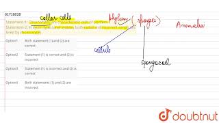 Statement1 Choanocytes are characteristic cells of porifera Statement2 In sycon type canal [upl. by Lamok176]