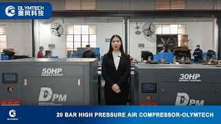 20 Bar High Pressure Air CompressorOlymtech [upl. by Gard]