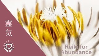 Reiki for Abundance  Energy Healing [upl. by Engvall]