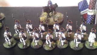 Muskets and Tomahawks Update  French and Indian War Force  Painted MIniatures [upl. by Akerahs]