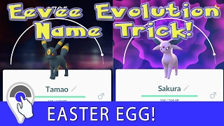 Evolve Eevee Into Sylveon In Pokemon Go  Pokemon Go Sylveon Name Trick  Kira Name Trick Eevee [upl. by Bushey]