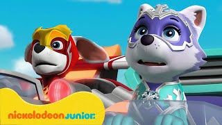 PAW Patrol La Pat Patrouille  Missions de feu et de glace pour les Super chiots  Nickelodeon Jr [upl. by Sabba]