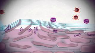 Uriage Bariederm  Isolating and repairing skincare [upl. by Markos319]