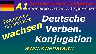 A1 wachsenглаголы с изменяемой корневой гласнойтренировка в употреблении в речи [upl. by Axe181]