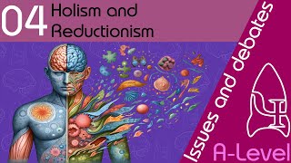 Holism and reductionism  Issues and debates ALevel Psychology [upl. by Cresa]