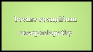 Bovine spongiform encephalopathy Meaning [upl. by Juback]