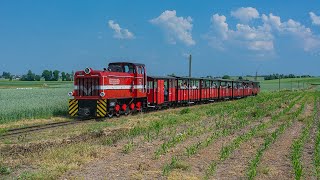 Żnińska Kolej Wąskotorowa i rozkładowe pociągi turystyczne [upl. by Silliw583]