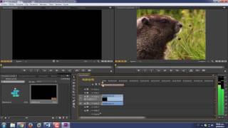 Como insertar y vincular audio en adobe premiere [upl. by Novad]