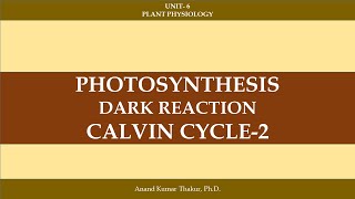 CALVIN CYCLE  2 [upl. by Adok]