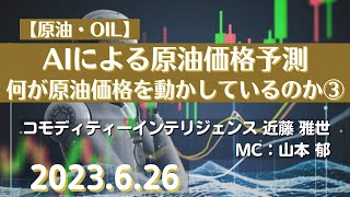 【原油】AIによる原油価格予測＆何が原油価格を動かしているのか③23626商品先物投資情報GoldTVnet [upl. by Aliel]