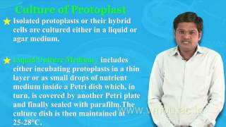 Protoplast Isolation amp Culture [upl. by Iveksarap]