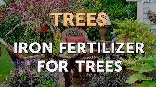 Iron Fertilizer for Trees [upl. by Regni]