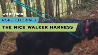 Rope Tutorials Nice Walker Harness [upl. by Eetnwahs]