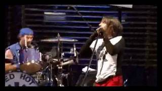 Red Hot Chili peppers Live at Slane Castle Full Concert [upl. by Gazo]