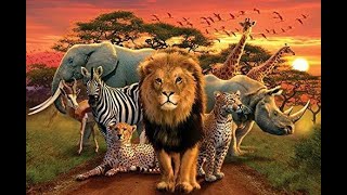 The animal kingdoms formation attributed to the errors of quotCopy Pastequot in evolutions recipe book [upl. by Lyj]