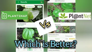 PlantSnap vs PlantNet Which is Better  Anns Tiny Life [upl. by Thgiwd751]