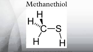 Methanethiol [upl. by Ackerman945]