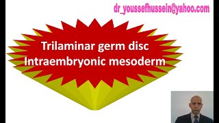 11 The 3rd week  Trilaminar germ disc  Intraembryonic Mesoderm [upl. by Morez]