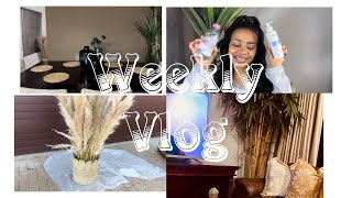 Let’s remove makeup togetherPampas grass arrangementsSouth African YouTuber [upl. by Giavani895]