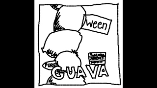 Ween Pure Guava Demos  Push the little daisies [upl. by Ylas733]