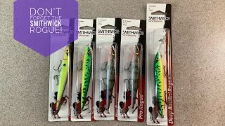 Don’t Ignore The Smithwick Rogue Jerkbait [upl. by Ecnaiva884]