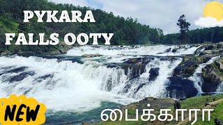 Pykara Falls Ooty  பைக்காரா Falls  Best places to visit in Ooty ooty pykara hillstation [upl. by Nisa]