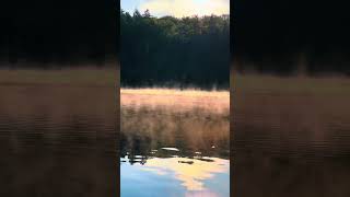 Dancing mists on a Maine Lake maine lake naturephotography [upl. by Ahsiki]