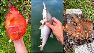 Have you ever eaten shark  Chinese Mountain Forest Life and Food Moo Tik TokFYP [upl. by Giefer113]