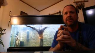 Cycle an aquarium in 2 weeks with Seachem Stability [upl. by Bruyn]