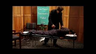 Unintentional ASMR  Dr Saul Shaye Healing Session at New Mexico Naturopathic Medical Show [upl. by Hoon]