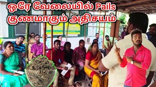 கவலை வேண்டாம் இனி ஒரே வேலையில் Piles யை குணப்படுத்தலாம் Piles Treatment SKM THOTTAM  TAMIL VLOGGER [upl. by Homovec]