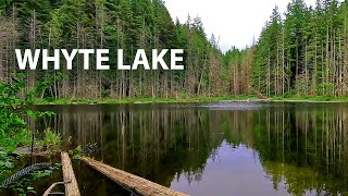 Whyte Lake West Vancouver BC 4K Virtual Hike [upl. by Joletta]