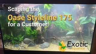 Scaping the Oase Styleline 175 for a Customer  ExoticAquaticanl [upl. by Znarf]