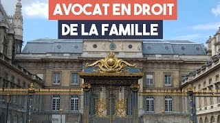 Avocats  la spécialité droit de la famille [upl. by Othilie419]