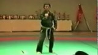 Ichikawa Ha Gojuryu Kata Demonstration [upl. by Adnuhsed]