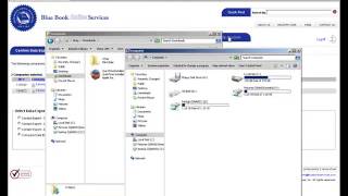 Blue Book Import Simplified Software [upl. by Yenduhc]