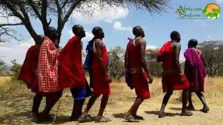 Maasai Warriors dancing and jumping  Kenya [upl. by Bicknell]